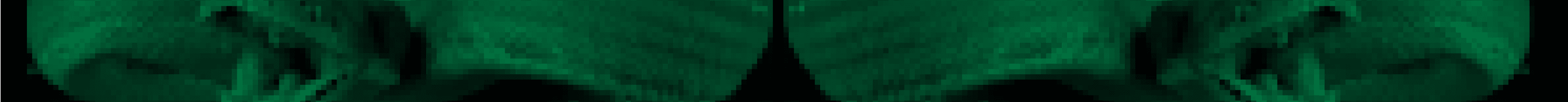 basilisk